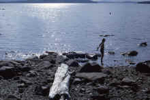 1966-06_JLBlilie_Family_403_Moosehead_Lk_ME.jpg (1929386 bytes)