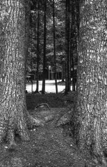 1966_June_Moosehead_Lake_297x.jpg (5407637 bytes)