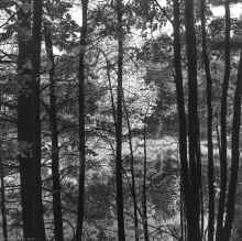 1967_Chelmsford,_MA_058.jpg (17191390 bytes)