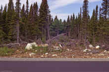 1968-06_JL_Blilie_Family_494_Newfoundland_Trip.jpg (2323987 bytes)