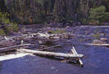 1968-06_JL_Blilie_Family_496_Newfoundland_Trip.jpg (3035882 bytes)