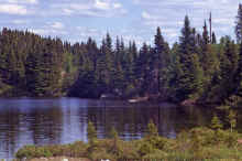 1968-06_JL_Blilie_Family_498_Newfoundland_Trip.jpg (2267380 bytes)