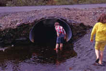 1968-06_JL_Blilie_Family_499_Newfoundland_Trip.jpg (2320650 bytes)