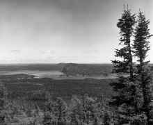 1968_Newfoundland_079_60.jpg (892958 bytes)