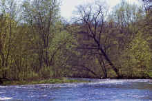 1970-05_JL_Blilie_Family_556_Apple_River.jpg (3355187 bytes)