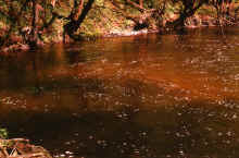 1970-05_JL_Blilie_Family_562_Apple_River.jpg (2588114 bytes)