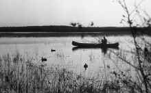 1970_Duck_Hunting_647.jpg (2318844 bytes)