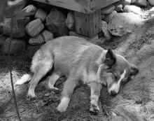 1970_Mitchell_Lake_Princess_623.jpg (2955817 bytes)