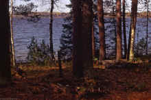 1971-09_JL_Blilie_Family_584.jpg (2268536 bytes)