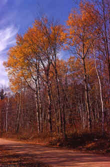 1971-09_JL_Blilie_Family_595.jpg (3647858 bytes)