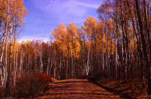 1971-10_JL_Blilie_Family_575.jpg (3825395 bytes)