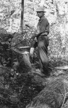 1973_James Louis Blilie Oak Stump Sep.jpg (1612963 bytes)