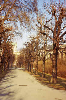 1974-02_JL_Blilie_Family_649_Vienna.jpg (3533984 bytes)