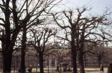 1974-02_JL_Blilie_Family_652_Vienna.jpg (2243968 bytes)