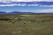 1974-06_JL_Blilie_Family_665_Montana.jpg (2242508 bytes)