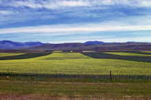 1974-06_JL_Blilie_Family_666_Montana.jpg (2326123 bytes)