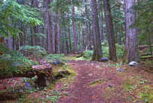 1974-07_JL_Blilie_Family_699_Glacier_NP.jpg (4868556 bytes)