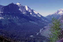 1974-07_JL_Blilie_Family_703_Glacier_NP.jpg (2343561 bytes)