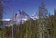 1974-07_JL_Blilie_Family_704_Glacier_NP.jpg (2673571 bytes)