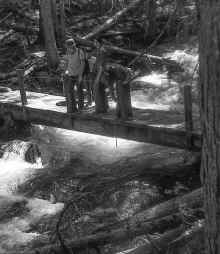 1974_Glacier_National_Park_NP_Trip_917.jpg (2143726 bytes)