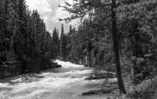 1974_Glacier_National_Park_NP_Trip_921.jpg (4802618 bytes)