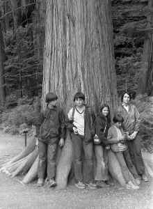 1974_Glacier_National_Park_NP_Trip_956.jpg (3955225 bytes)