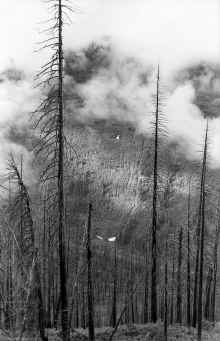 1974_Glacier_National_Park_NP_Trip_966.jpg (4267664 bytes)