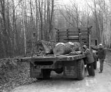 1974_Logging_Mitchell_Lake_002.jpg (3577295 bytes)