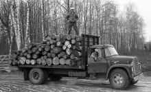 1974_Logging_Mitchell_Lake_993.jpg (4474065 bytes)