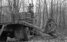 1974_Logging_Mitchell_Lake_998.jpg (4151826 bytes)