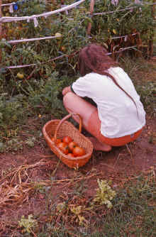 1975-08_JL_Blilie_Family_725_Julie.jpg (2896965 bytes)