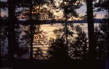 1977-06_JL_Blilie_Family_769_Mitchell_Lk.jpg (1831627 bytes)