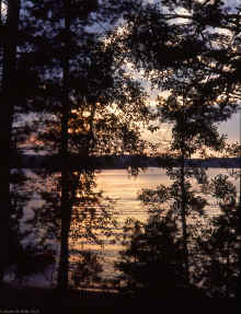 1977-06_JL_Blilie_Family_770_Mitchell_Lk.jpg (2371712 bytes)