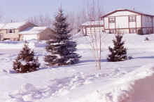 1979-01_JL_Blilie_Family_806.jpg (1520682 bytes)