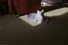 1979-05_JL_Blilie_Family_809.jpg (1039218 bytes)