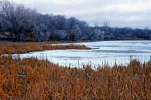 1981-12_JL_Blilie_Family_881.jpg (2851561 bytes)