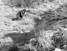 1981_James_W_Blilie_405.jpg (2879823 bytes)