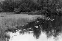 1981_Mitchell_Lake_Scenery_445.jpg (4811102 bytes)