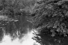 1981_Mitchell_Lake_Scenery_446.jpg (4659391 bytes)