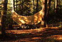 1982-08_JL_Blilie_Family_928.jpg (2797239 bytes)