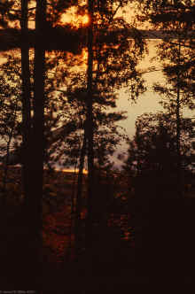 1982-08_JL_Blilie_Family_929.jpg (2112529 bytes)