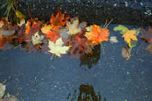 1982-09_JL_Blilie_Family_923.jpg (2493148 bytes)