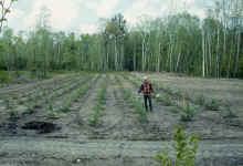 1983-04_JL_Blilie_Family_943_Warren_Herman.jpg (2296777 bytes)