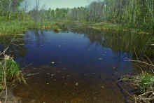 1983-05_JL_Blilie_Family_956.jpg (2632892 bytes)