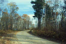 1983-10_JL_Blilie_Family_038_Mitchell_Lk.jpg (2462946 bytes)