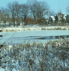 1983-11_JL_Blilie_Family_053_Lk_Wabasso.jpg (1897237 bytes)