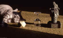 1984-03_JL_Blilie_Family_061.jpg (1149783 bytes)