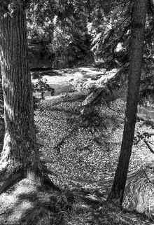 1984_North_Shore_976.jpg (4861607 bytes)