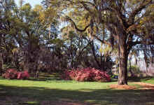 1985-04_JL_Blilie_Family_180.jpg (3376782 bytes)