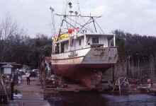 1985-04_JL_Blilie_Family_196.jpg (1541317 bytes)